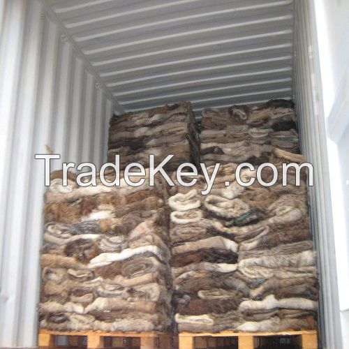 Dry/Wet Salted Cow/Donkey/Sheep/ And Goat Hides
