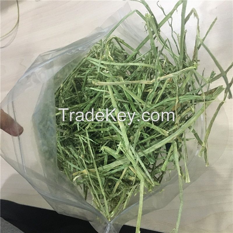 High Quality Animal Feed Alfalfa Hay 