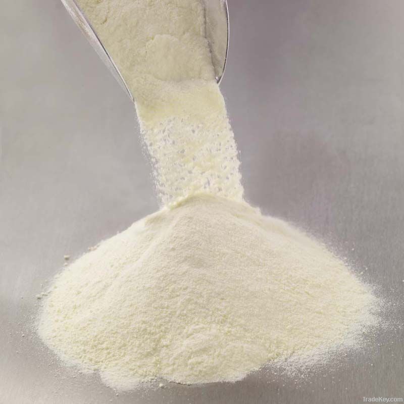 Skimmed Milk Powder Low Fat 1.25%