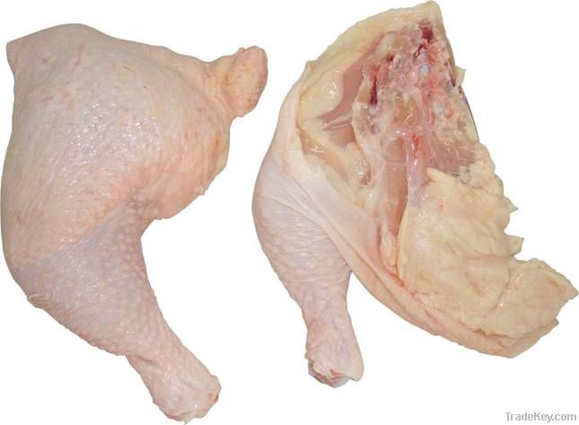 Frozen Chicken Leg Quarter-GRADE A