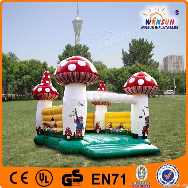 inflatable castle