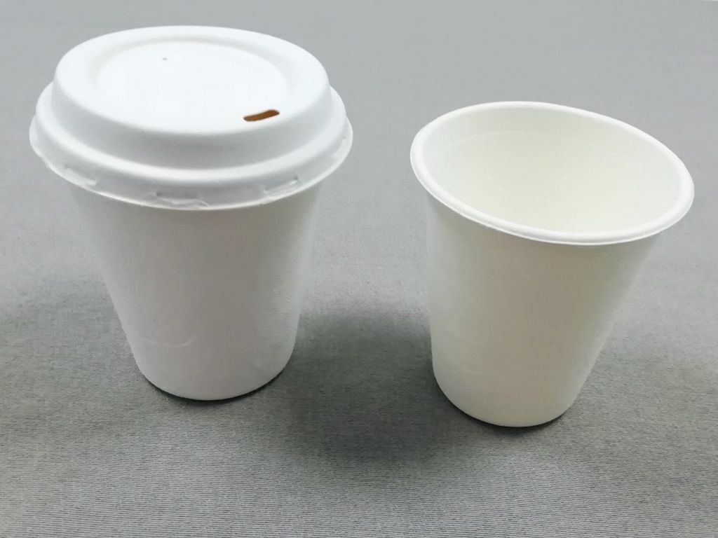 Biodegradable sugarcane pulp cup