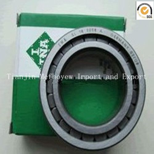 Good Performance INA SL045020PP Cylindrical roller bearing/full cylindrical roller with GCr15