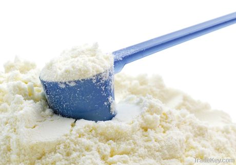 Whole Milk Powder