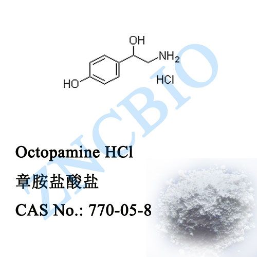 Octopamine HCl (770-05-8)