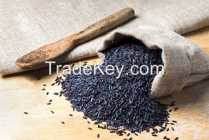 BLACK VENUS RICE AT GOOD PRICE