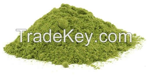 MORINGA POWDER AT GOOD PRICE