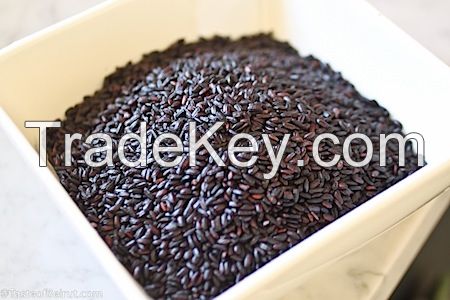 BLACK VENUS RICE AT GOOD PRICE