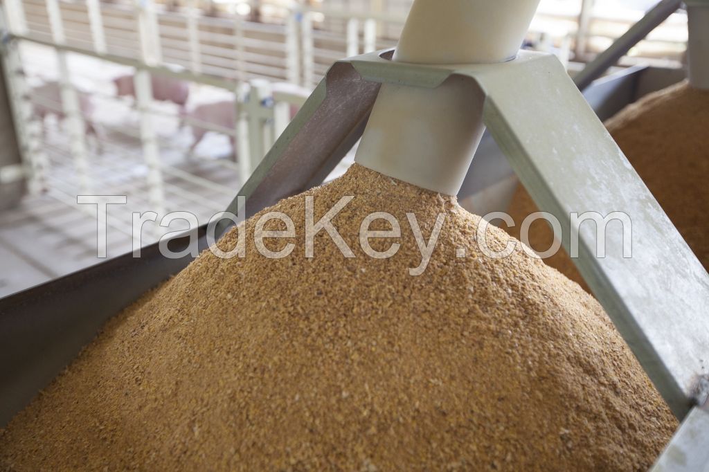 soybean/soy bean/soya bean meal with high protein for Cattle Feed