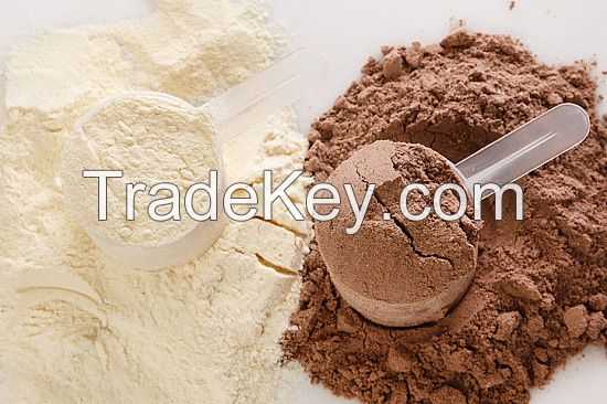 Healthcare Supplement Protein Powder Whey Protein Isolate