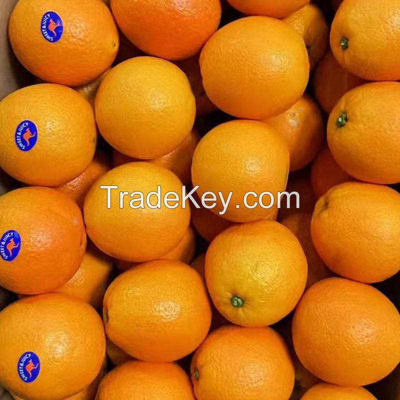 Fresh Orange Naval Orange Valencia Orange sweet Oranges 