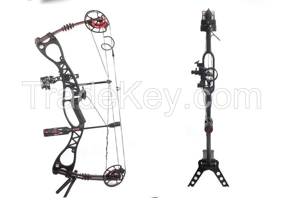  Hunting Bow arrow Set, Caesar Compound Bow,bow And Archery Set