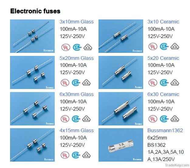 glass fuse/ceramic fuse 3x10 5x20 6x30 250V 15A