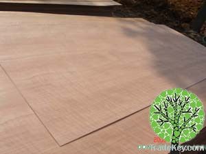 plywood/commercial plywood