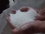 White Refined Icumsa 45 sugar for sale 
