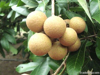 Fresh Longan