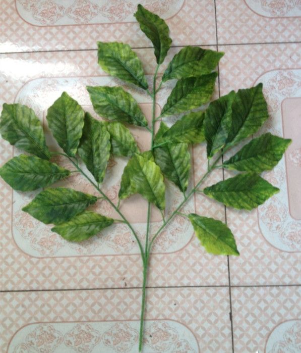 artificial leaf