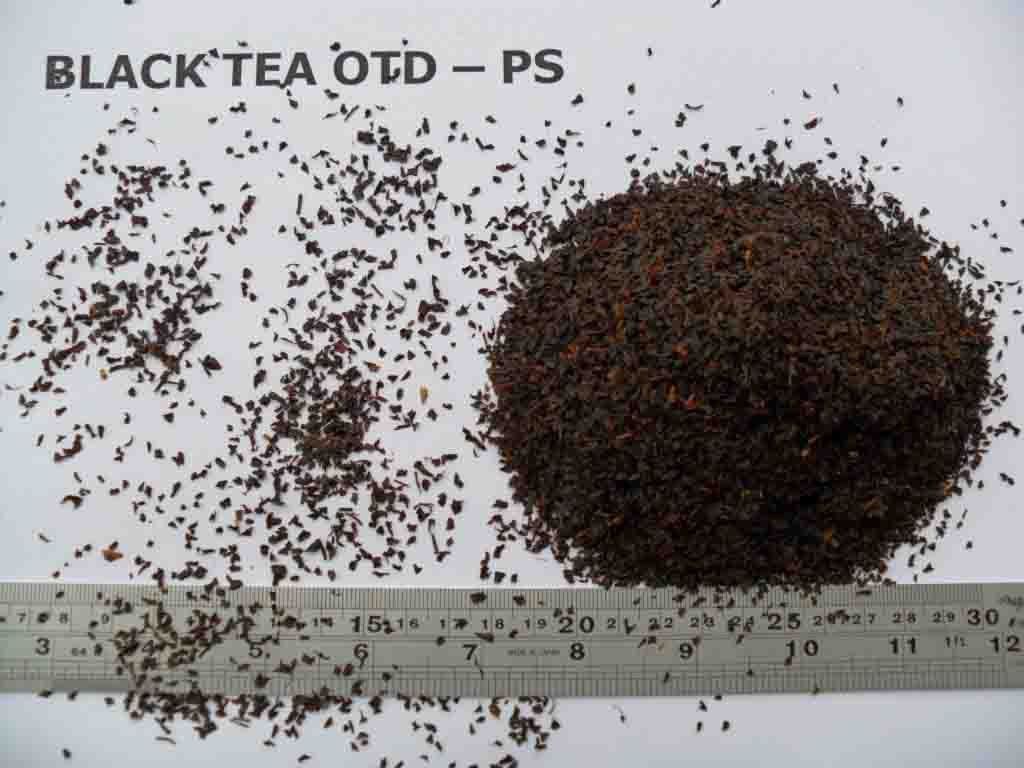 High quality Vietnamese black tea OTD PS