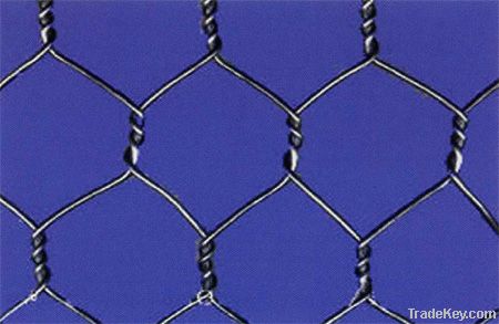 stone Cage Netting