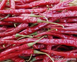 Red Chillies