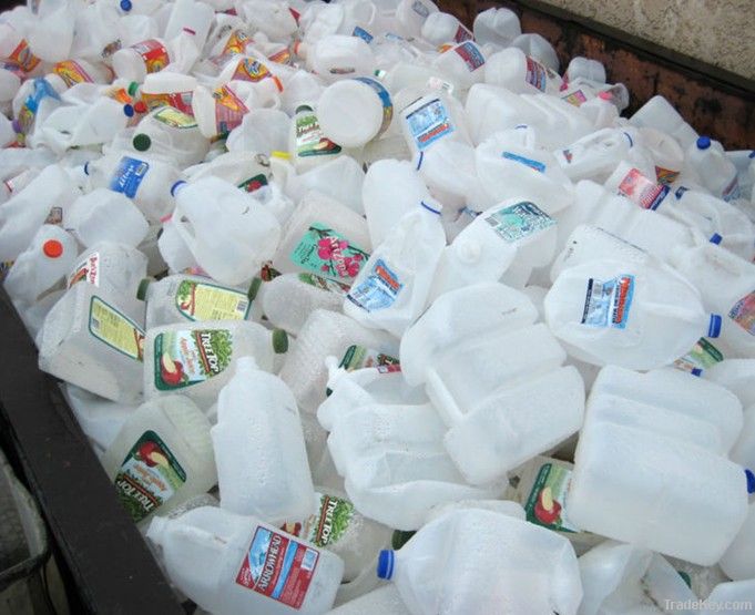 HDPE Milk Bottle Scrap
