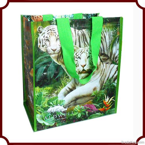reusable eco-friendly shopping bag