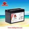 6v200ah lead acid battery,VRLA battery for golf car&electric vehicles