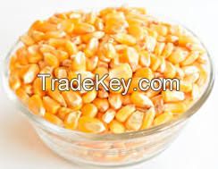 Yellow Corn