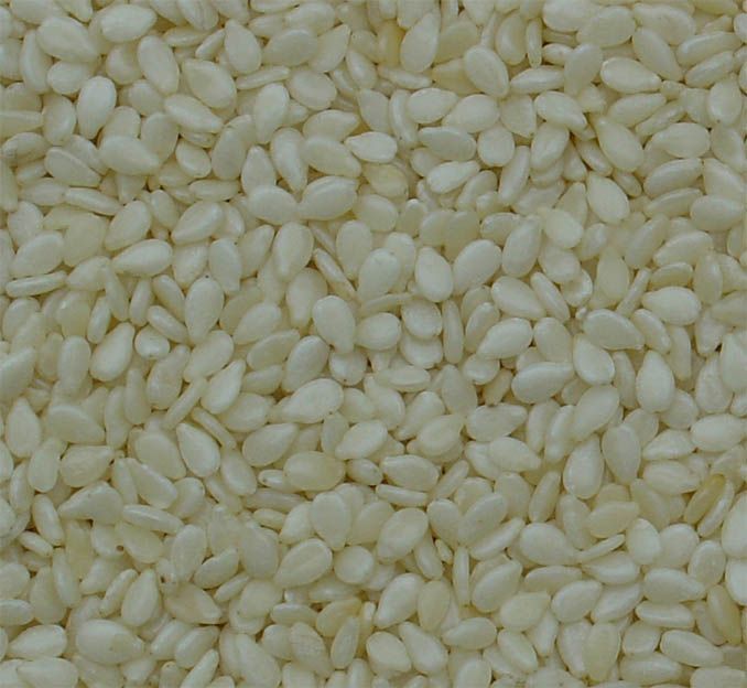 high quality white natural sesame seed 