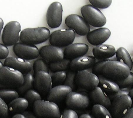  2012 crop Black kidney bean/black bean