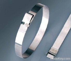 Stainless Steel Cable Tie Wing Lock Type