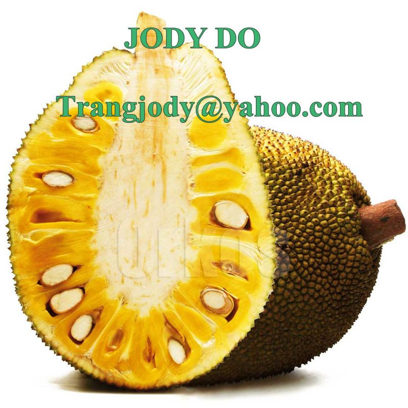 FRESH / FROZEN JACK FRUIT