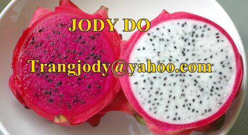 FRESH DRAGON FRUIT