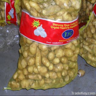 Chinese new crop fresh potato