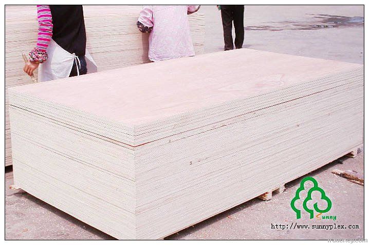 poplar plywood