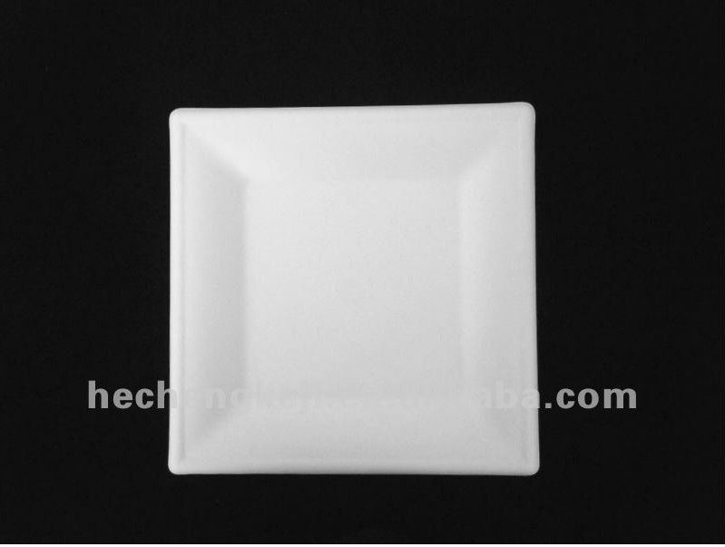 6 inch square plate of sugarcane bagasse pulp