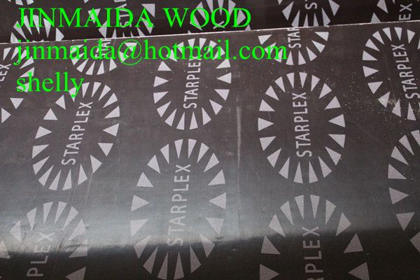 korinplex brand name film faced plywood low price for middle east