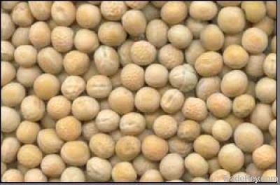 whole yellow peas