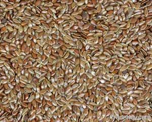 Natural Linseed/Flax seed