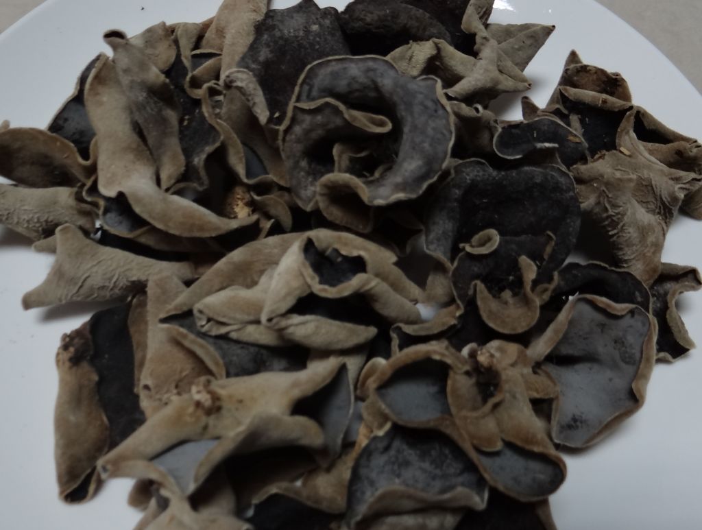 Dried black ear fungus, lingzhi mushroom