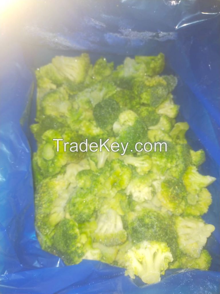 Egyptian IQF Frozen Broccoli