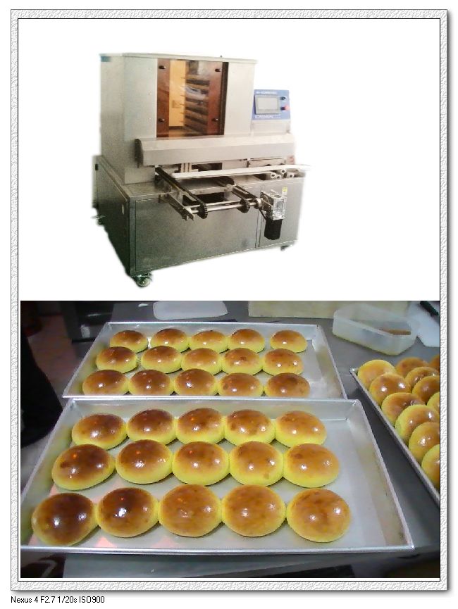 SV-302 Automatic Tray Arranging Machine with high speed