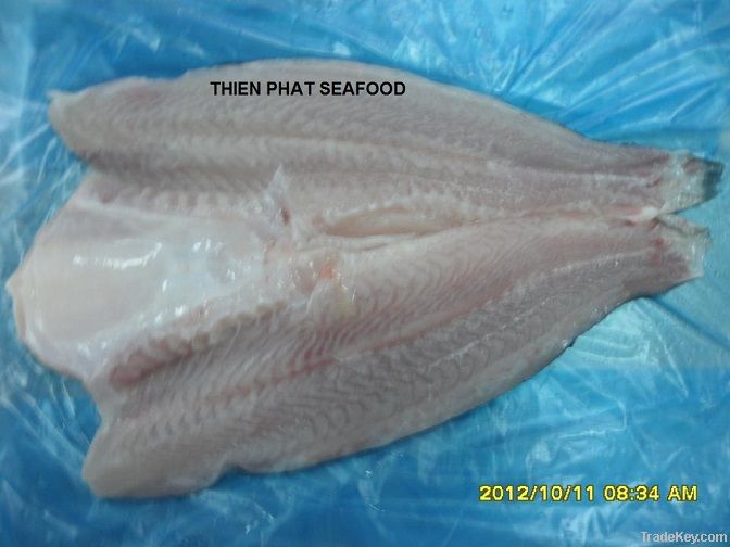 Premium Pangasius Butterfly