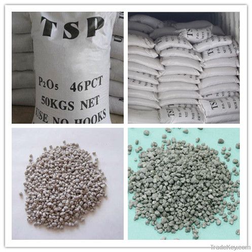 Triple Superphosphate(TSP)