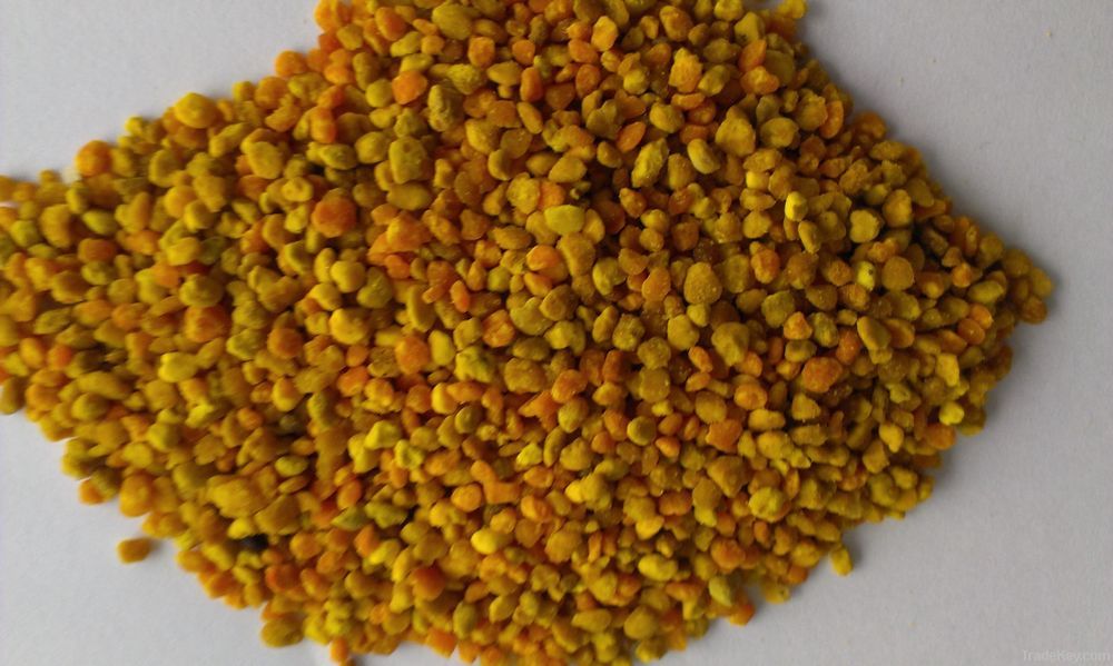 natural mixed bee pollen for bee feed or health