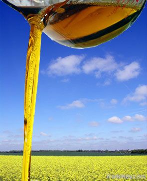 Crude Rapeseed Oil