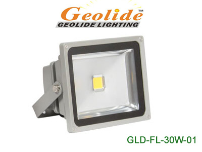 CE ROHS 30W High Power LED Floodlight