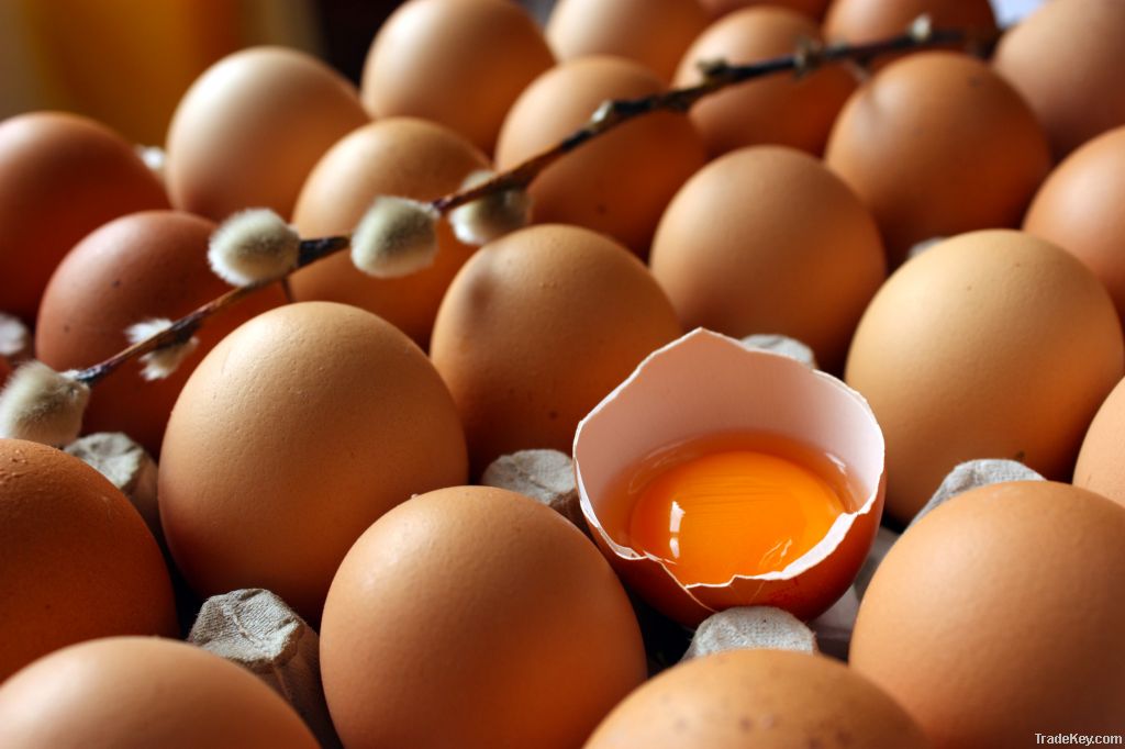 Eggs