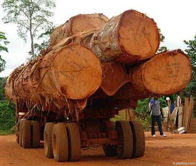 Timber and Medicinal Products