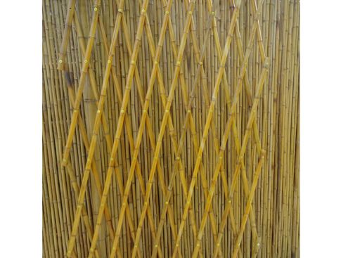 Bamboo Fences